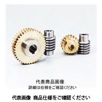 協育歯車工業 ウォームギヤ モジュール 2.5 圧力角 20°(並歯) W2.5S L1ーB L1-B 1個（直送品）