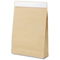 ベルベ 通販 梱包 フラップバッグ 宅配袋（茶無地）L 2539 1包：100枚（10×10）（直送品）
