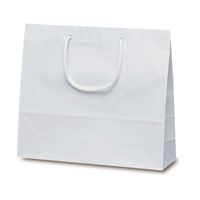 ベルベ 手提げ 紙袋 ファインバッグ 1包：50枚（10×5）