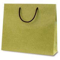 ベルベ 紙袋 手提袋 T-6 カラークラフト 1包：100枚（10×10）