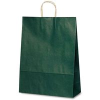 ベルベ 紙袋 自動紐手提袋 T-12 カラー(緑) 1448 1セット(200枚:50枚×4袋)