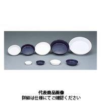 アイリスオーヤマ 鉢受皿中深型 4号 ホワイト 4905009571109 1セット(10枚)（直送品）