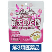 南天のど飴U はちみつ梅風味 パウチタイプ 22錠 常盤薬品工業　せき 喉のあれ・はれ・不快感 のどの痛み 声がれ【第3類医薬品】