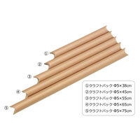 クラフトパックφ5 銀鳥産業