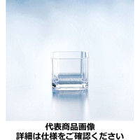 ルーチェ クリアキューブTX-10 NLT0601 関東プラスチック工業（取寄品）