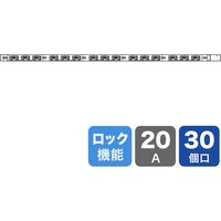 サンワサプライ 19インチサーバーラック用コンセント 200V（20A） 抜け防止ロック機能付き TAP-SV220