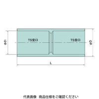 日動電工 TSカップリング VE54