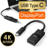 サンワダイレクト USB3.1 Type-C変換アダプター