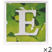 ユーパワー アルファベット アートフレーム グリーン E AL-01202-E 1セット（2枚）（直送品）