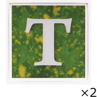 ユーパワー アルファベット アートフレーム グリーン T AL-01202-T 1セット（2枚）（直送品）