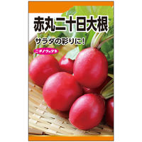 ニチノウのタネ 大根/ラディッシュ 日本農産種苗