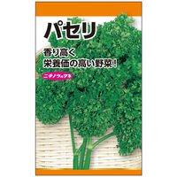 ニチノウのタネ パセリー 日本農産種苗 4960599151506 1セット（5袋入）（直送品）