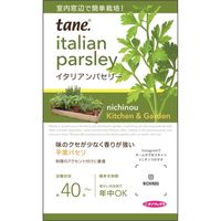ニチノウのタネ K＆Gイタリアンパセリー 日本農産種苗 4960599160287 1セット（5袋入）（直送品）