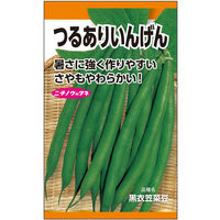 ニチノウのタネ 衣笠菜豆（つるあり・丸莢） 日本農産種苗 4960599175304 1セット（5袋入）（直送品）