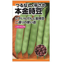 ニチノウのタネ　日本農産種苗 本金時豆（つるなし・平莢） 4960599187901 1セット（5袋入）（直送品）
