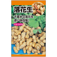 ニチノウのタネ 落花生（ピーナッツ） 日本農産種苗 4960599176202 1セット（5袋入）（直送品）