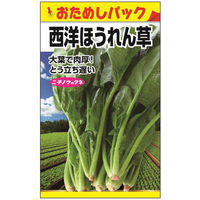 ニチノウのタネ 西洋ほうれん草（おためしパック） 日本農産種苗 4960599260604 1セット（10袋入）（直送品）