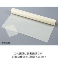 アズワン PPSフィルム 3-8898-02 1袋(10枚)（直送品）