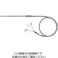 ダブルエレメント測温抵抗体 WPtシリーズ