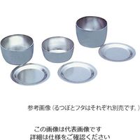 アズワン ジルコニウムるつぼ 45mL 3-9479-03 1個（直送品）