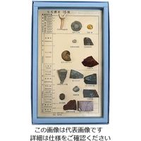 東京サイエンス 化石標本(化石標本15種) 3-654-04 1セット（直送品）