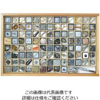 東京サイエンス 化石標本(化石標本100種) 3-654-06 1セット（直送品）