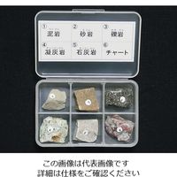 東京サイエンス 岩石標本（岩石標本堆積岩6種） 1セット 3-657-02（直送品）