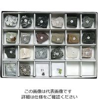 東京サイエンス 岩石標本（岩石・造岩鉱物標本22種） 1セット 3-657-09（直送品）