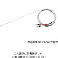 アンベエスエムティ 超極細K熱電対 Φ0.013mm KFT-13-200-200（Y） 1個 3-7522-07（直送品）