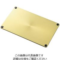 アズワン 冷却・放熱・解凍プレート プレート型 1個 3-8933-01（直送品）