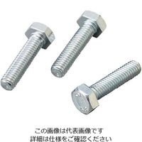 サンコーインダストリー 六角ボルト全ねじ 鉄（三価ホワイト） 60本入 M525 1袋（60本） 4-292-31（直送品）