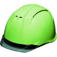 DIC 透明バイザーヘルメット AP11EVOーCW KP フレッシュグリーン/スモーク AP11EVO-CW-HA6-KP-FG/S 1個（直送品）