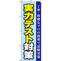 イタミアート 実力テスト対策 のぼり旗 0270087IN（直送品）