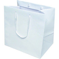 ヤマニパッケージ スレッガーバッグ白マチ広M YOH-193 1ケース（100枚：10枚袋入×10）（直送品）