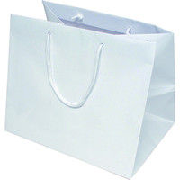 ヤマニパッケージ スレッガーバッグ白マチ広L YOH-194 1ケース（100枚：10枚袋入×10）（直送品）