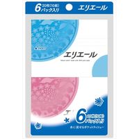 大王製紙 エリエールティシューポケット１０Ｗ＊６Ｐ　　　　　 4902011713770 1セット（24個）