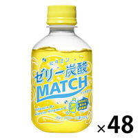 大塚食品 マッチゼリー 260g 1セット（48本）