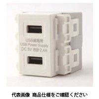 TERADA 埋込USB給電用コンセント USB-R3701