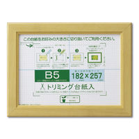 大仙 OAカノエ PET SP B5 ナチュラル 33J635D6000 5個（直送品）