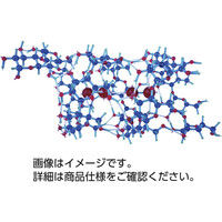 タロウ 分子構造模型（モル・タロウ） アミロース PSA-1 31380565（直送品）