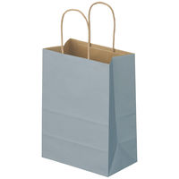 スーパーバッグ 丸紐 ニュアンスカラー手提紙袋 S（幅200×高さ270×マチ幅120ｍｍ） クールグレー 1箱（300枚：50枚入×6袋）【紙袋】