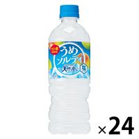 サントリー 天然水 うめソルティ 冷凍兼用 540ml 1箱（24本入）