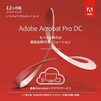 【販売開始時期未定】アドビシステムズ Acrobat Pro DC SUBS1年 65289634（直送品）