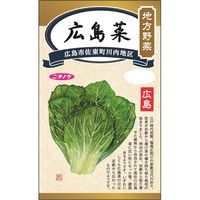 ニチノウのタネ 地方野菜 広島菜 日本農産種苗 4960599246202 1セット（5袋入）（直送品）