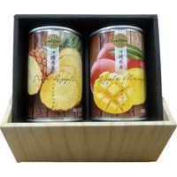 琉堂 沖縄県産マンゴー＆パインアップル缶詰 ギフトセット（直送品）