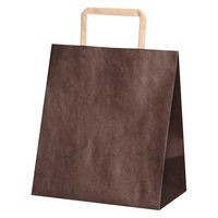 【紙袋】平紐手提袋 H平2214 ショコラ XZT69938 1袋（50枚入）パックタケヤマ