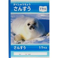 サンフレイムジャパン Ｂ5学習帳　さんすう　17マス 500-2433 1セット（10冊）（直送品）