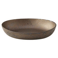 陶雅 カレー皿 ブロンズ楕円カレー皿 中 [2個入] tga-4818-359（直送品）