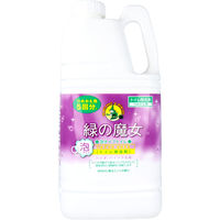 ミマスクリーンケア 緑の魔女 泡タイプ トイレ 詰替用 2L　1個(2L入)×4セット（直送品）