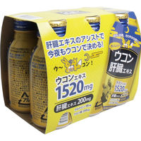 マルマン ウコン肝臓エキス 100mL 1セット(6本×5パック)